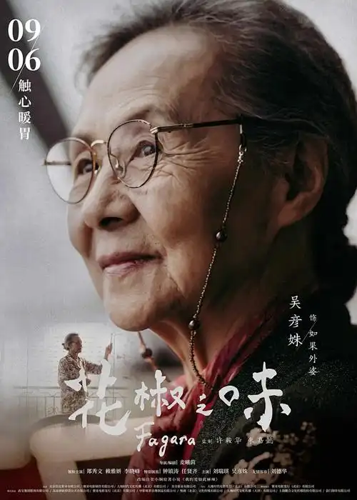 夜航西飞动画海报
